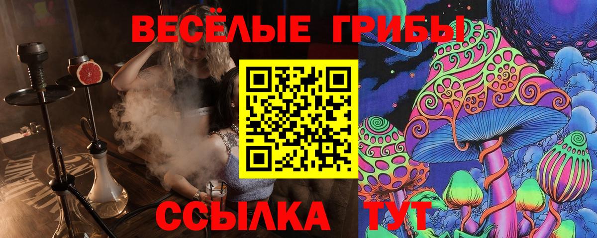 Псилоцибиновые грибы Psilocybe  продажа наркотиков  Вход с VPN  Полевской  Псилоцибиновые грибы Magic Shrooms 
